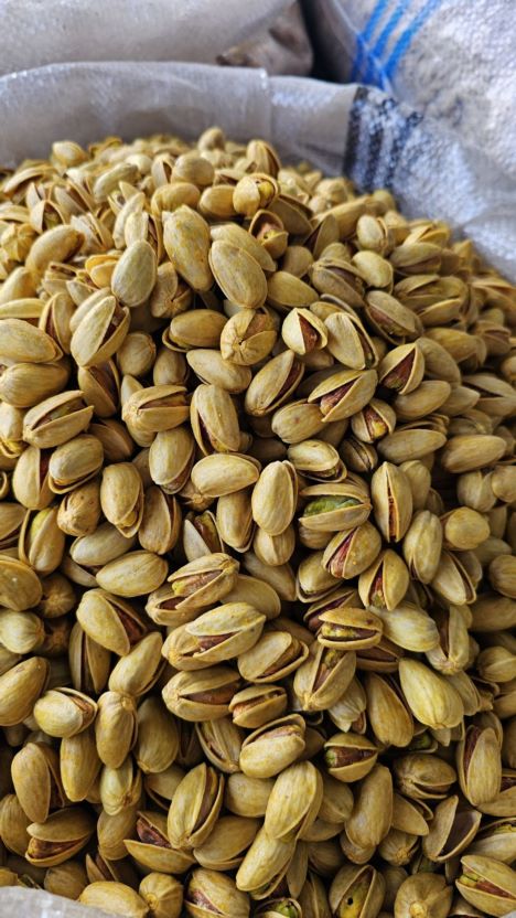 فروش انواع آجیل شور و خام